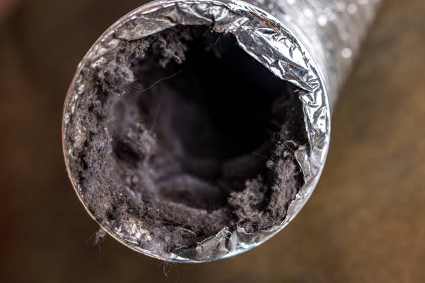Best Air Duct Cleaning Near Me  in Blackville, SC